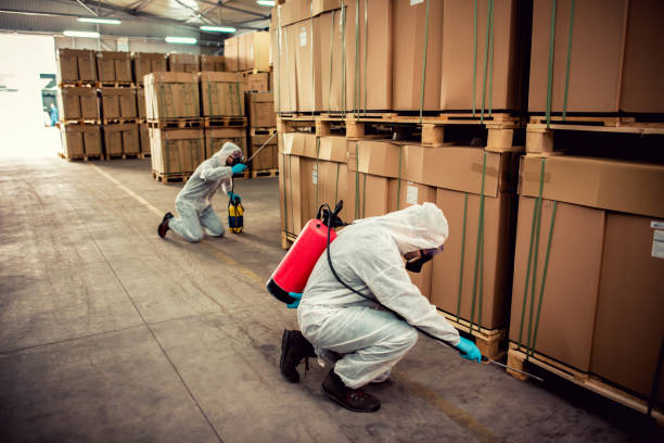 Best Best Pest Control Companies  in Mackinac Island, MI
