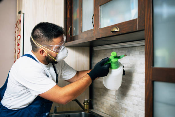 Best Exterminator Services  in Mackinac Island, MI
