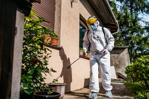 Best Residential Pest Control  in Mackinac Island, MI
