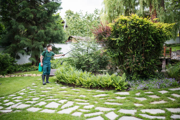 Best Wasp Removal Services  in Mackinac Island, MI