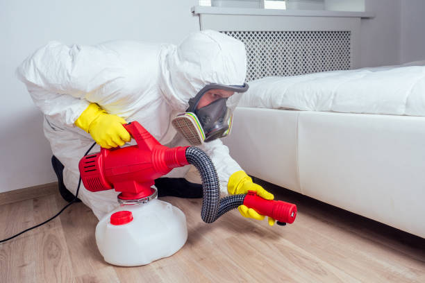 Best Emergency Pest Control  in Mackinac Island, MI