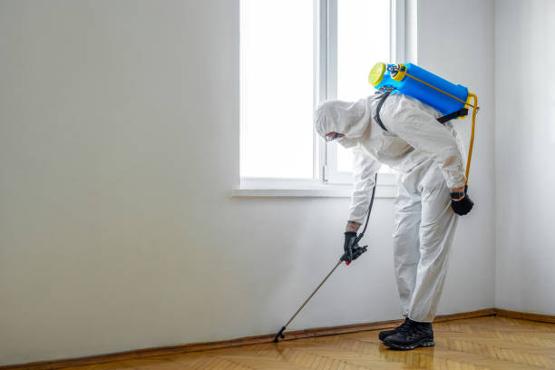 Best Affordable Pest Control Services  in Mackinac Island, MI
