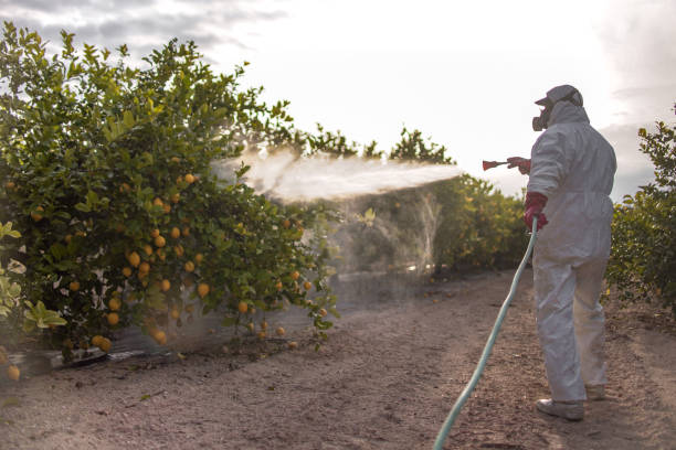 Best Pest Removal Services  in Mackinac Island, MI