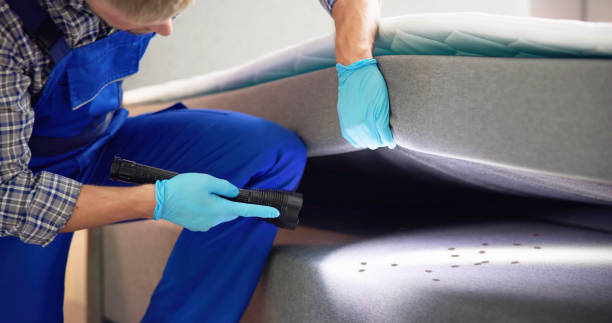 Best Local Pest Control Services  in Mackinac Island, MI