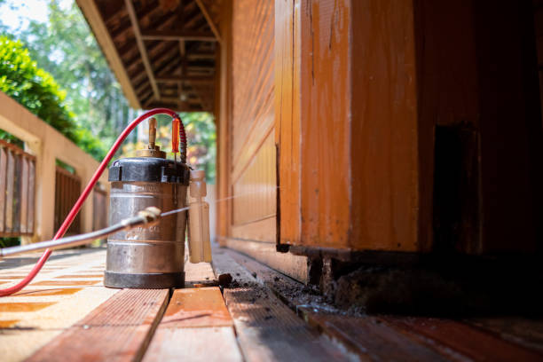 Best Pest Prevention Services  in Mackinac Island, MI