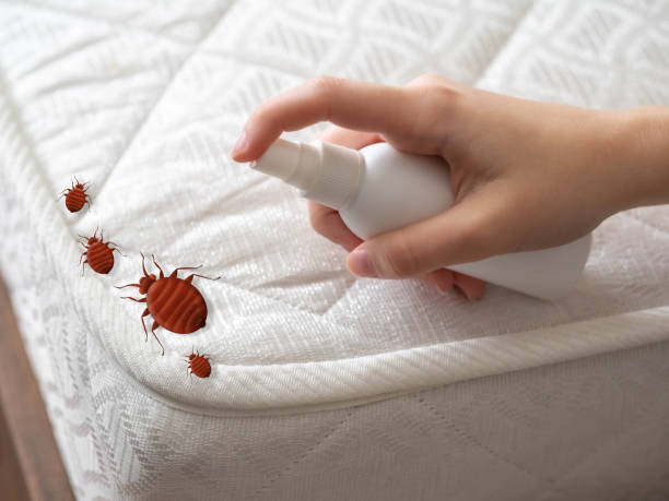 Mackinac Island, MI Pest Control Company