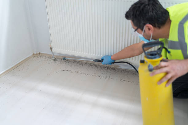 Best Affordable Pest Control Services  in Mackinac Island, MI
